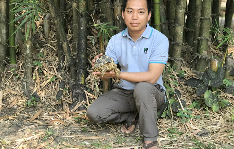 Swann Htet Naing Aung with a Burmese Star Tortoise CREDIT: WCS